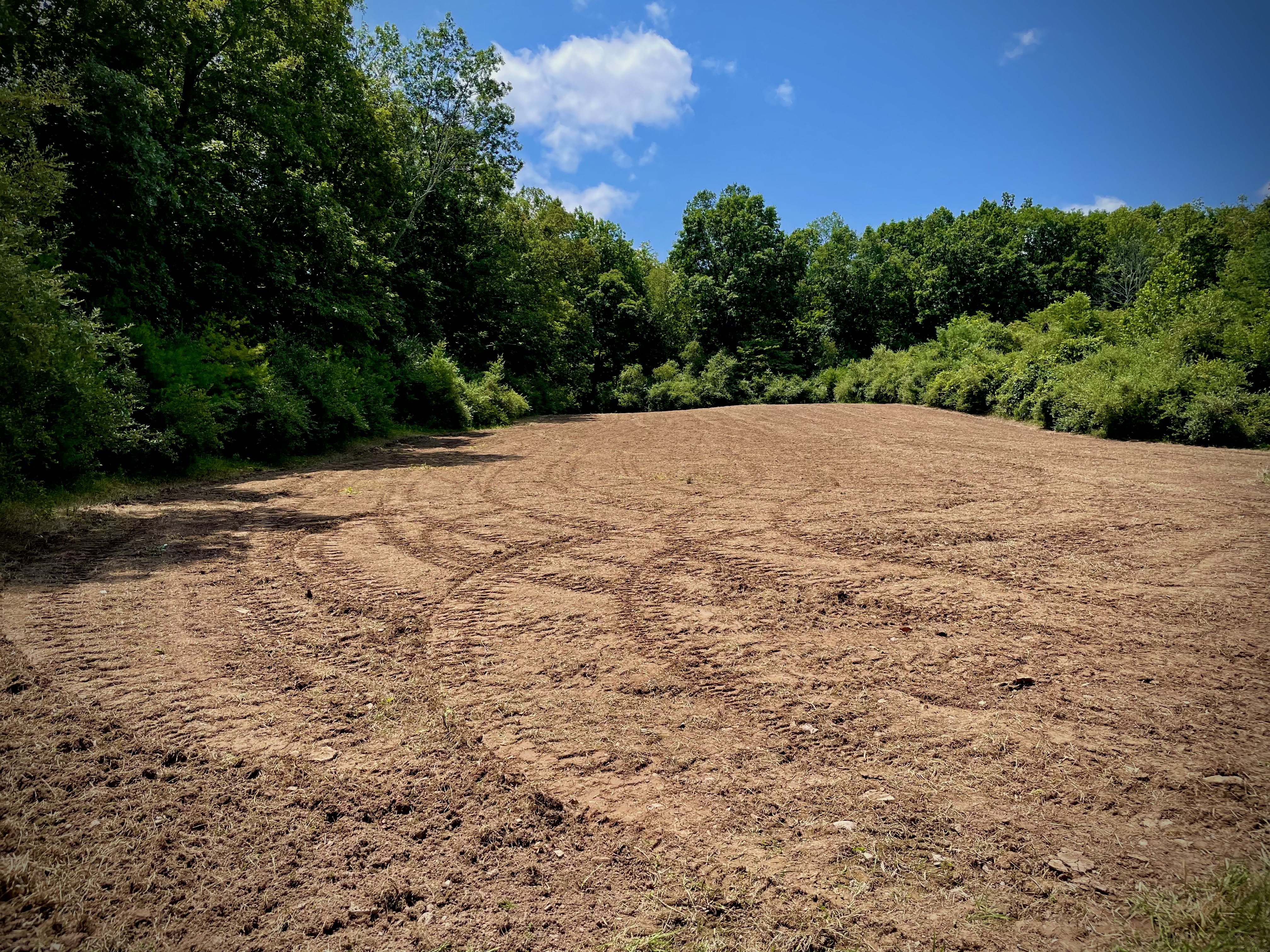 Food Plots